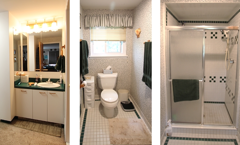 This bathroom located in Ann Arbor uses Cardinal,Cutting Edge,DalTile,Delta,Sherwin Williams,Showplace Cabinets,Toto